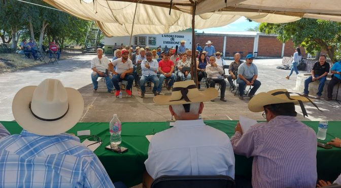 Sader Fortalece Michoac N Producci N Agropecuaria Con M S Recursos